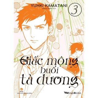 Sách - Boxset Giấc Mộng Buổi Tà Dương 3&4