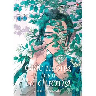 Sách - Boxset Giấc Mộng Buổi Tà Dương 3&4