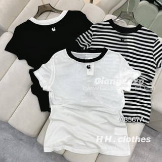 Áo phông giấy xước trơn sọc tay ngắn cổ tròn viền 3 màu -BEBEDOLL