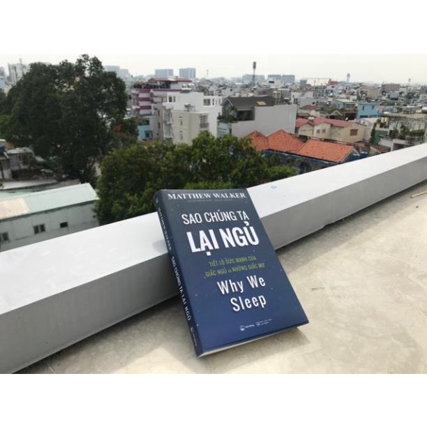 Sách - Sao chúng ta lại ngủ - Hải Đăng