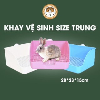 Khay vệ sinh cho thỏ, bọ ú, chinchilla size trung