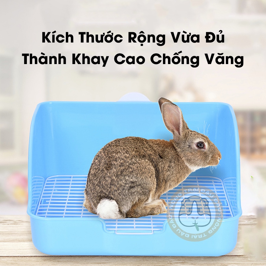 Khay Vệ Sinh Cho Thỏ, Bọ Ú, Chinchilla Size Trung