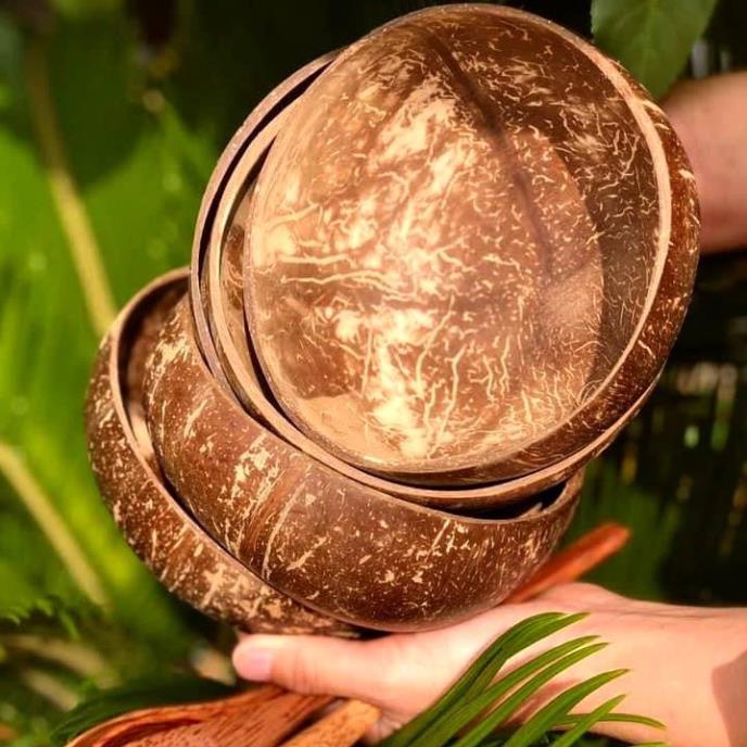 Bộ bát chén gáo dừa và thìa muỗng gỗ tự nhiên Annut