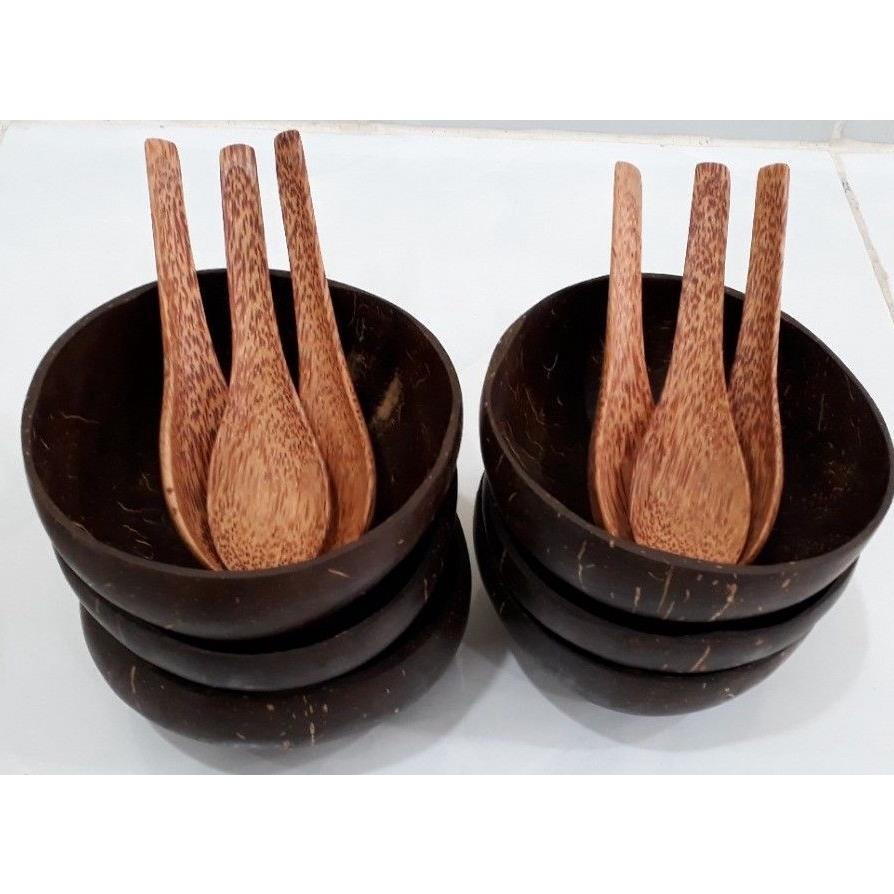 Bộ bát chén gáo dừa và thìa muỗng gỗ tự nhiên Annut