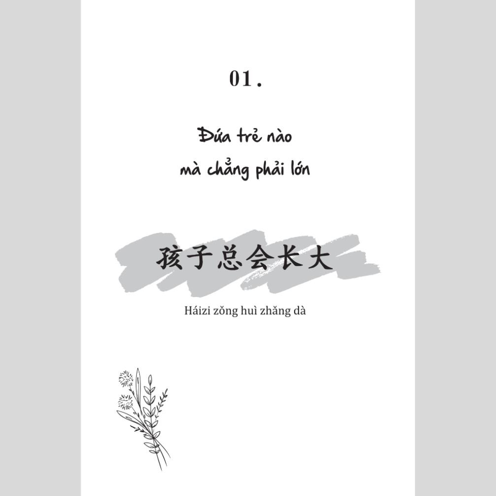 Sách Chưa kịp lớn đã phải trưởng thành - Quyển 2 - 还没长大就要学着成熟了 - Phiên bản song ngữ Việt - Trung (TimeBooks)