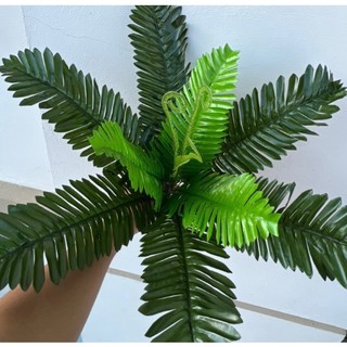 Cây vạn tuế nhựa trang trí 9 lá