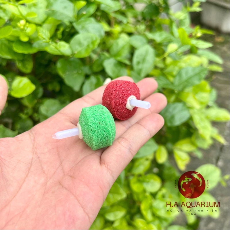 Quả Sủi Oxy mịn Cho Bể Cá, Hồ Cá, Thuỷ Sinh