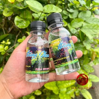 Diệt rêu hoàng nam, diệt rêu hồ cá cảnh , hồ thuỷ sinh