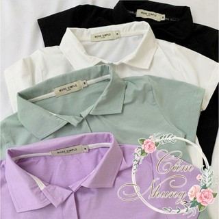 Áo croptop cổ bẻ - polo trơn xinh siêu hot camnhungsi