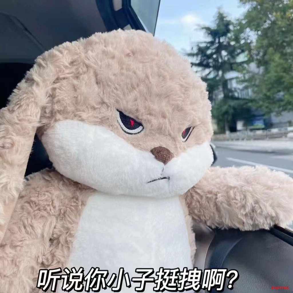 Trong kho﹉✲Búp bê thỏ Diu dễ thương ngủ thoải mái