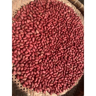 lạc đỏ/ đậu phộng