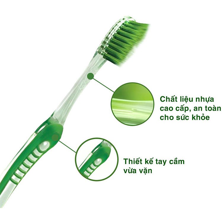 Bàn Chải Đánh Răng ORAL-B Trà Xanh Vỉ 3