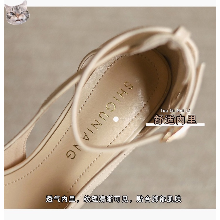 Giày Cao Gót 12cm Mũi Nhọn Cao 12cm Thời Trang Xuân Hè Hàng Mới Dành Cho Bạn Nữ