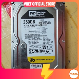 Ổ cứng HDD Western 250GB - Bảo Hành 24 Tháng [Giao ngẫu nhiên]