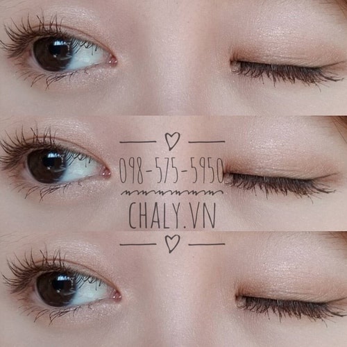 Mascara Dolly Wink Brown Long and Volume Water Proof KOJI nâu quyến rũ | Mascara Nhật làm dày và dài mi