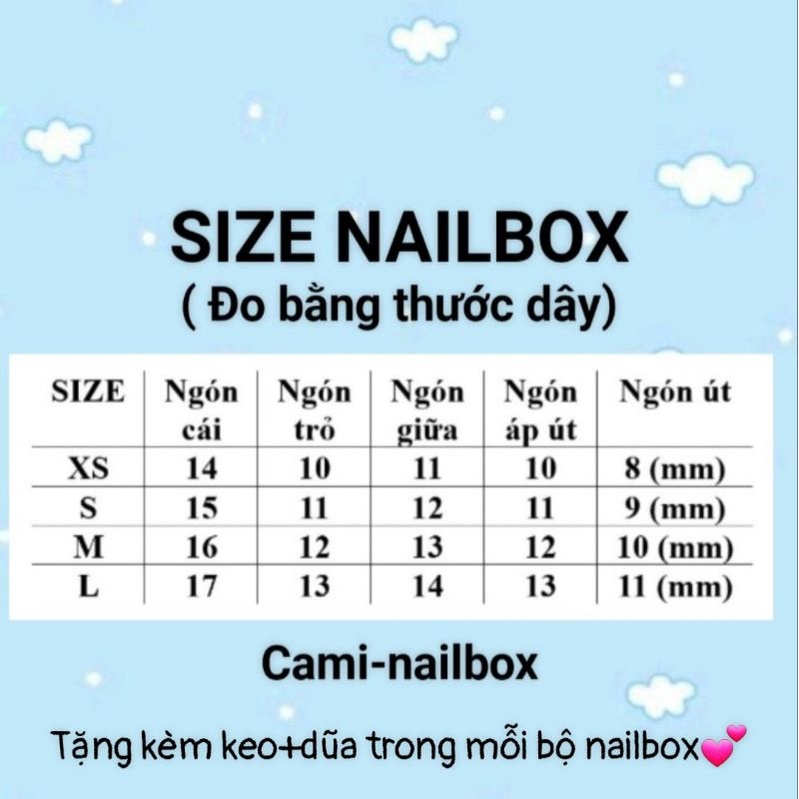 Nailbox móng up thiết kế gắn gấu
