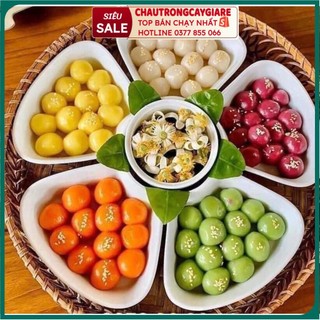 Bộ 5 đĩa hoa mặt trời kèm khay mây, bộ bát đĩa gốm sứ loại đẹp, trang trí bàn ăn, trang trí mâm cúng gia tiên
