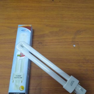 Bóng đèn học v- light g23 - pl