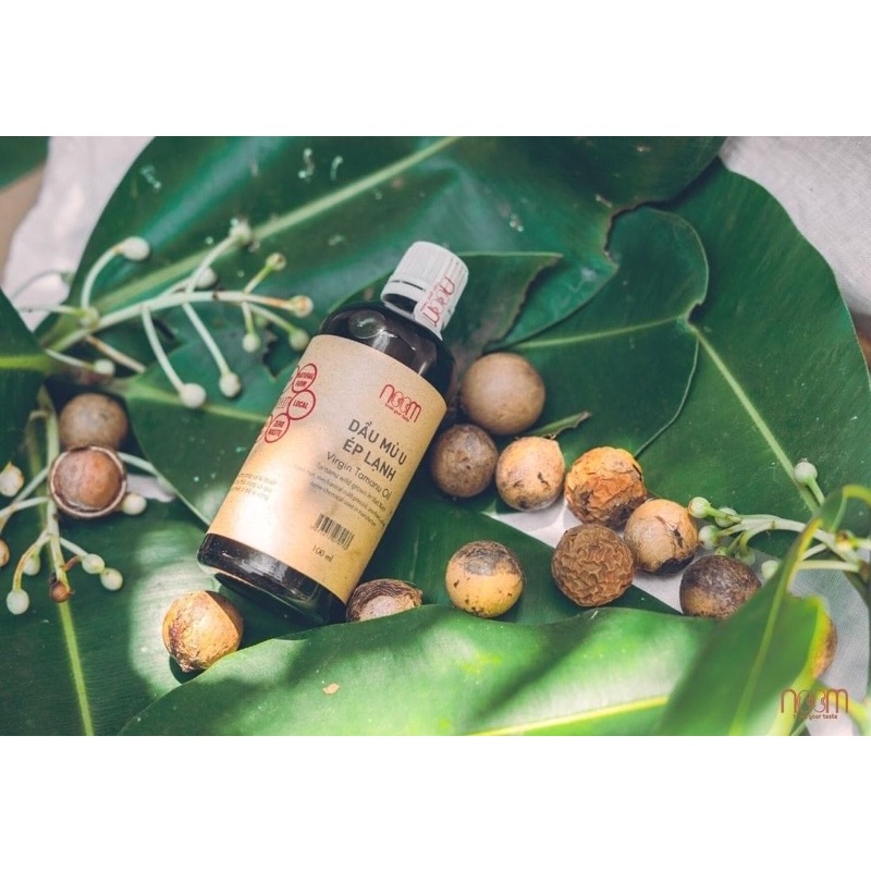 Dầu mù u ép lạnh 30ml