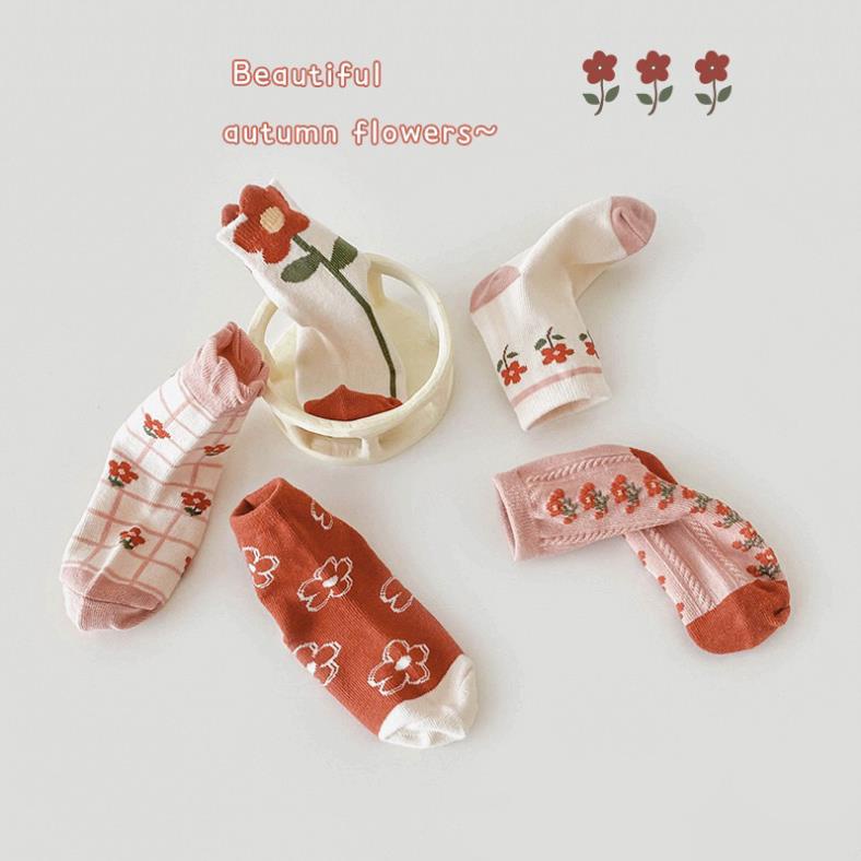 Set 5 đôi tất cotton hoa cam bé gái cổ cao viền bèo sợi bông mềm mại thoáng khi khử mùi Softie te3