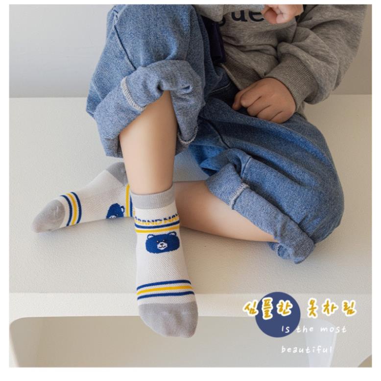 Set 5 đôi tất cotton gấu xanh kẻ bé trai , gái sợi bông mềm mại thoáng khi khử mùi Softie te1