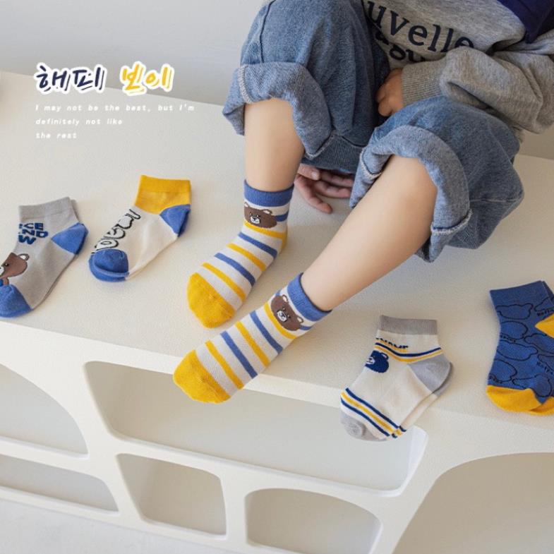 Set 5 đôi tất cotton gấu xanh kẻ bé trai , gái sợi bông mềm mại thoáng khi khử mùi Softie te1