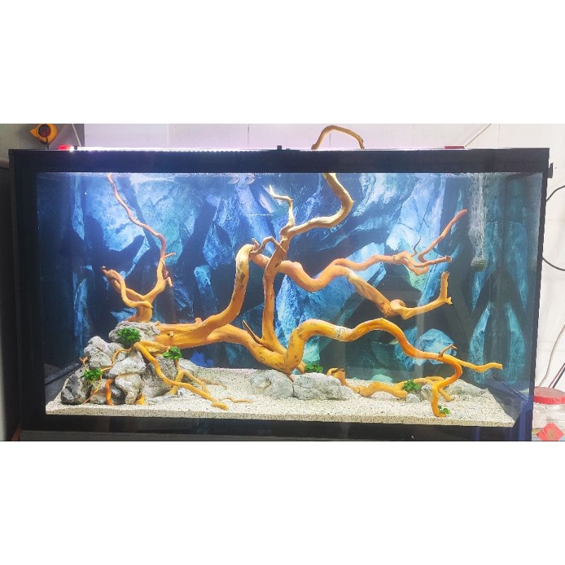 Lũa đỗ quyên 100g