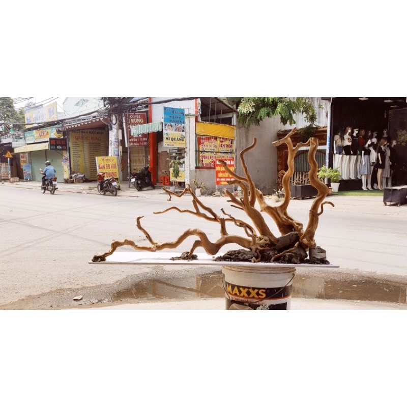 Lũa đỗ quyên 100g