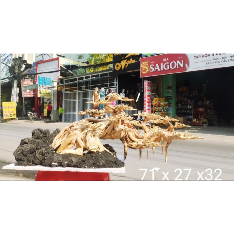 Lũa xương chùm/ Tán quýt 100g