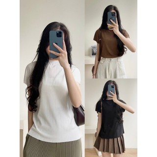 Áo thun gân lạnh tay dơi cổ leo - laddystore - ao6917/p11k6