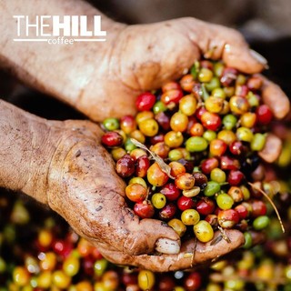Cà Phê The Hill Blend – Gu Mộc 1 500g
