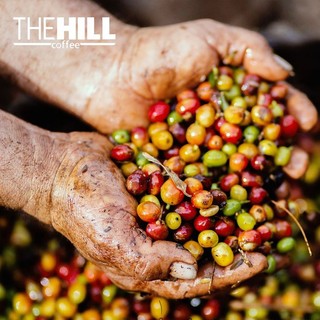 Cà Phê The Hill 100% Robusta 1 500g