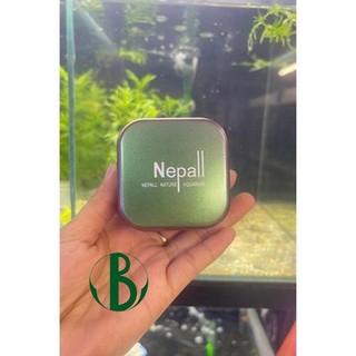 Nam châm lau kính bể cá cảnh Nepall 6x6cm