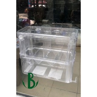 Lồng mica 2 ngăn cho cá đẻ