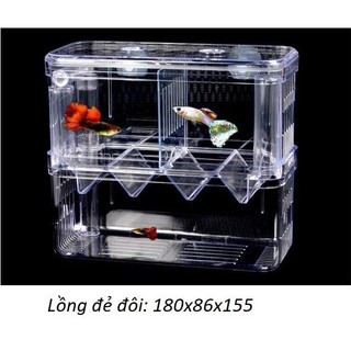 Lồng mica 2 ngăn cho cá đẻ