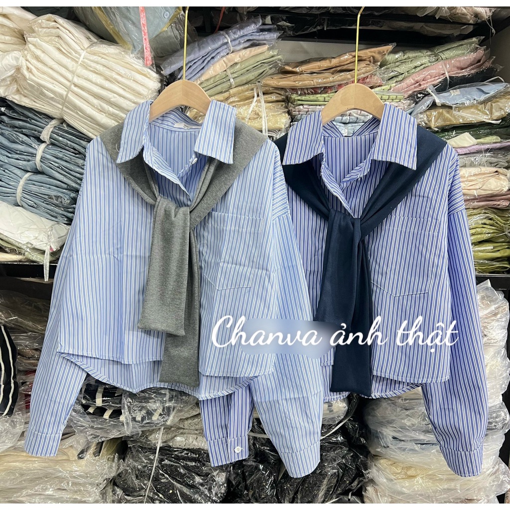 Áo sơ mi kẻ dài tay dáng lửng phối khăn quàng Vintage , Áo sơ mi kẻ cổ thủy thủ Croptop Basic - CHANVA