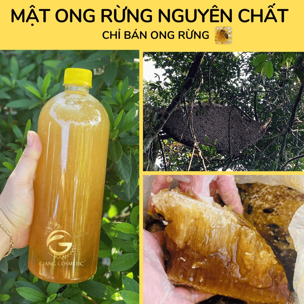 Mật ong rừng nguyên chất chai 100ml dùng thử, chai 250ml, chuẩn ong khoái đặc biệt nguyên chất 100%