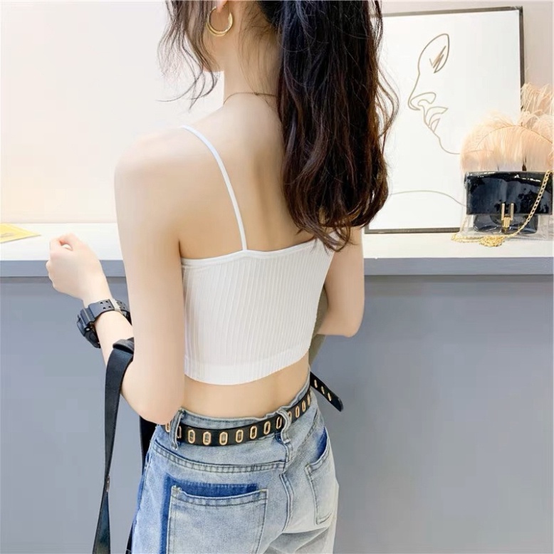 Áo Bra Nữ Quây Ngực Có Đệm Mỏng Cotton Gân Siêu Xinh 809 Đồ Lót HAISHOP