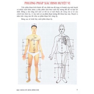 Sách - Học Châm Cứu Bằng Hình Ảnh ( HT)