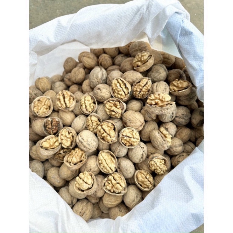 ÓC CHÓ GIẤY VỎ TRẮNG LOẠI 1 THƠM NGON, Quả óc chó