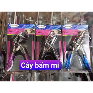 Cây bấm mi
