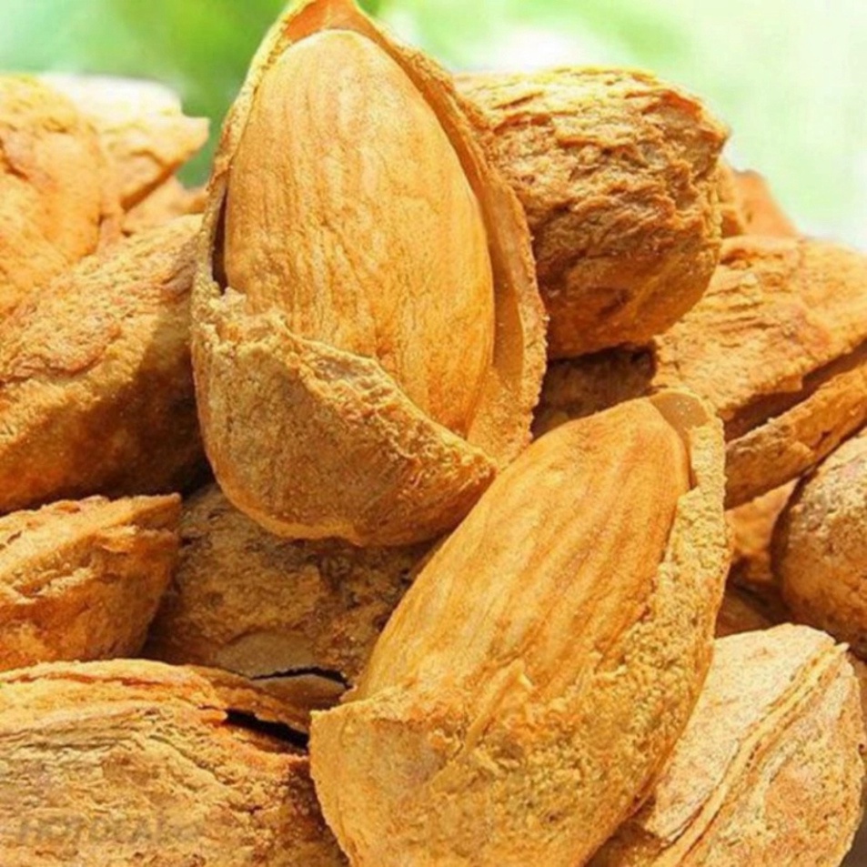 Hạt hạnh nhân sấy chín giàu dinh dưỡng 500g