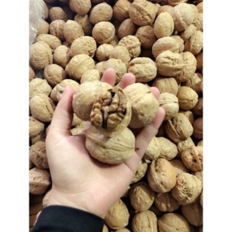 Quả Óc Chó Nhập Khẩu