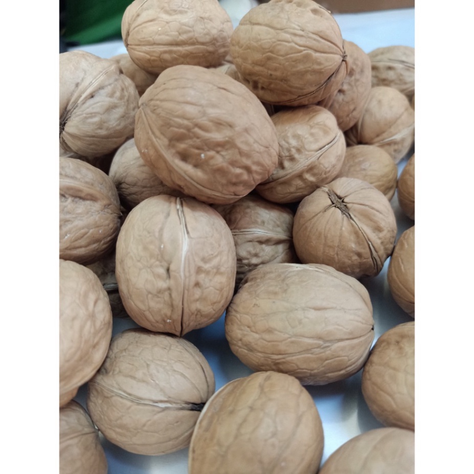 Quả Óc Chó Nhập Khẩu