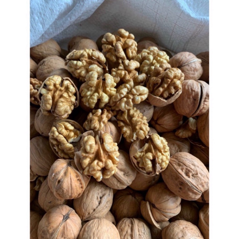 Óc chó giấy loại 1 thơm ngon, Quả óc chó