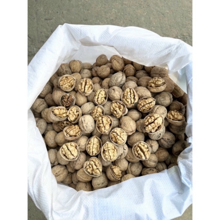 Óc chó giấy loại 1 thơm ngon, Quả óc chó