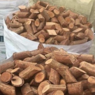 Thân cây mú từn 1kg - anan tay bac