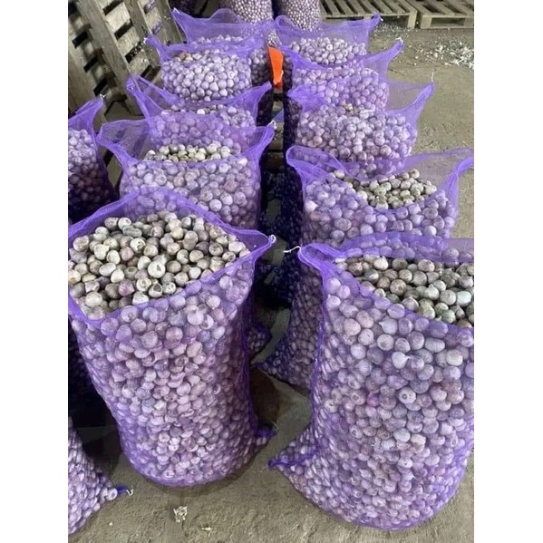 Tỏi cô đơn nhí Yên Châu