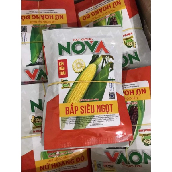 Gói 50g_ Hạt giống Ngô ngọt lai F1_ NOVA 5649_ SIÊU NGỌT_ chất lượng cao_ Nhập khẩu Thái Lan