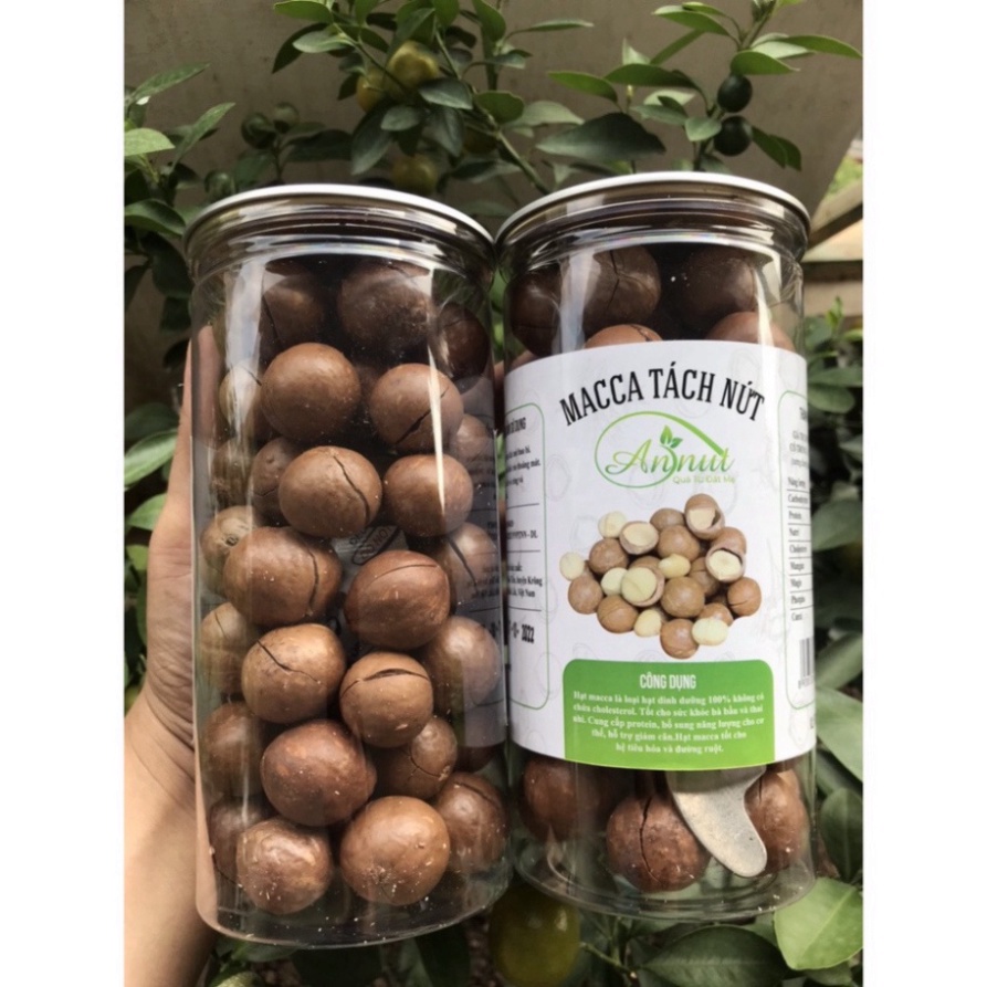 Hạt Macca Nứt Vỏ Tây Nguyên Thượng Hạng Annut Thơm Ngon,Giòn Tan, Bổ Dưỡng, Ăn Vặt, Eatclean,keto, Ăn Kiêng 500gr